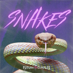 Future Samples - SNAKES