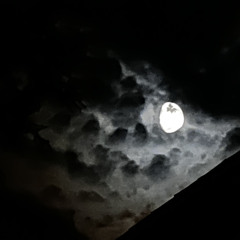 AKASUGE- EENIE MEENIE MINEY MO