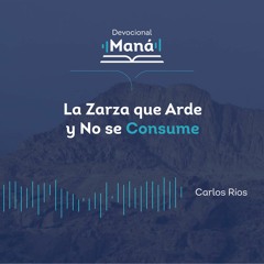 21 Momentos En Israel - La Zarza Que Arde Y No Se Consume