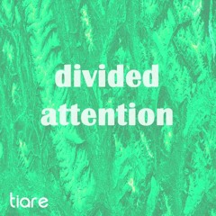 Divided Attention