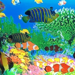 Congradulations (say it like you mean it) demo