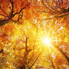 More than 20 years <3