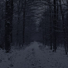 Pastel ghost - Shadows (Slowed, Reverb, Muffled)