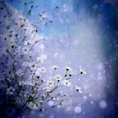 In the Starlight