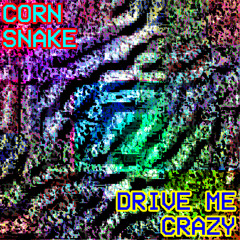 Drive Me Crazy