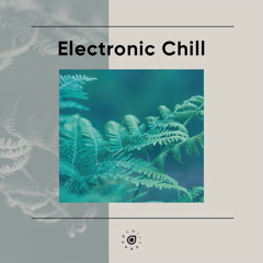 Electronic Chill