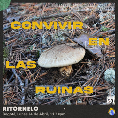 SERIE 3: "Convivir En Las Ruinas" por Ritornelo