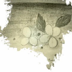 鏡花水月(feat. MANA)
