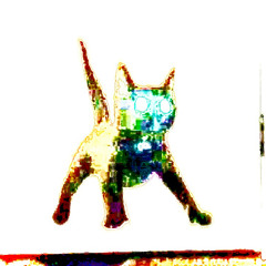 TeamKiller