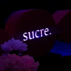 sucre. dancing through the night #1