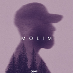 DEMS - MOLIM
