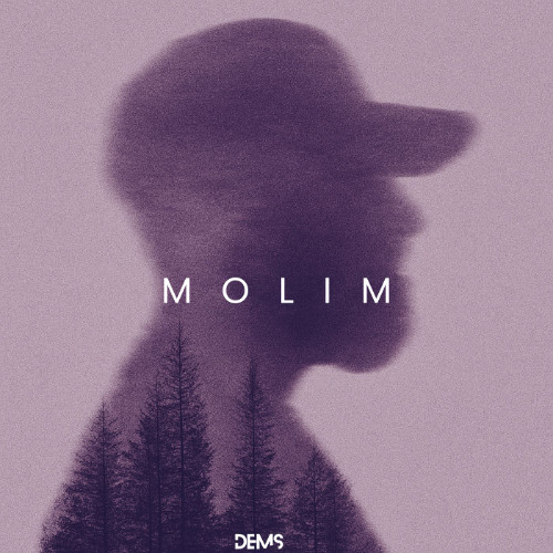 DEMS - MOLIM