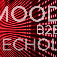 ECHOLOGY & MOODEEP B2B SESSION.