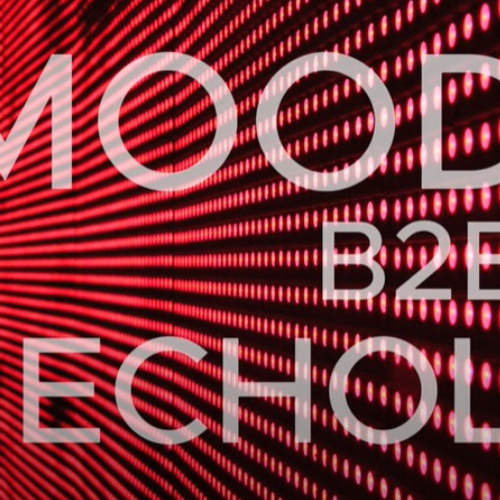 ECHOLOGY & MOODEEP B2B SESSION.