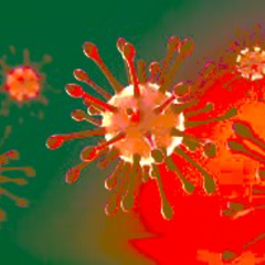 funky covidina
