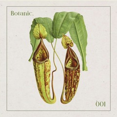 Botanic Podcast - 001 - Botanic Soundsystem