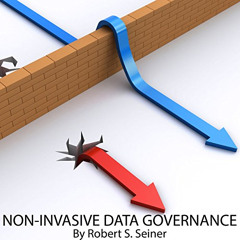 FREE PDF ✔️ Non-Invasive Data Governance by  Robert S. Seiner,Randal Schaffer,Technic