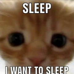 Sleep I Want To Sleep