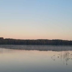 Peyotech Crew Tribute Set - Live Recorded at Damp och Trans 11.08.23