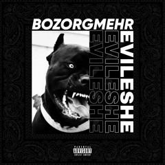 Evileshe