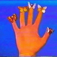 ˡᵒᵒᵖᶤᶰᵍ ᵖᵒˡᶤᶜᶤᵃ