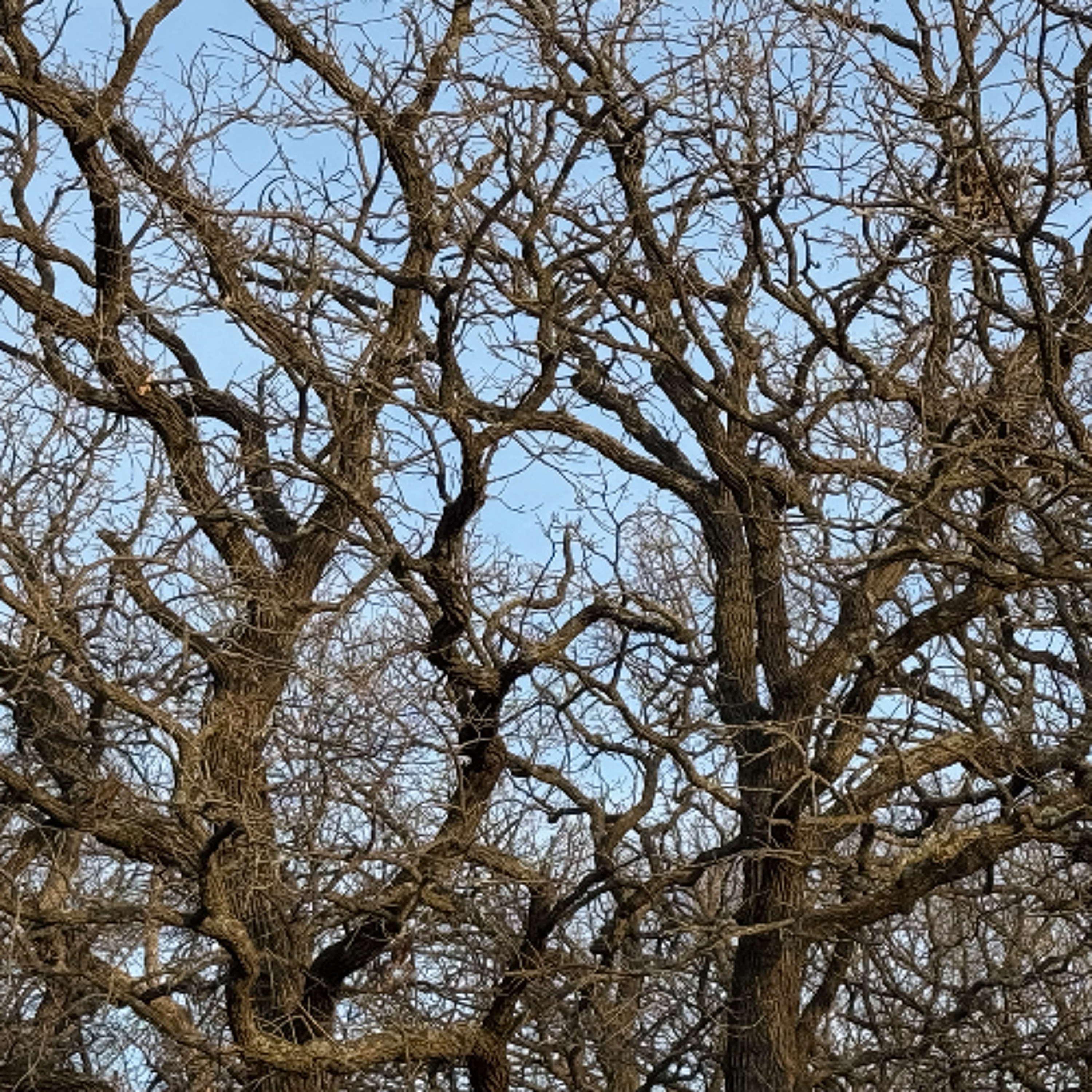 Forecast from Wednesday 4-1-26