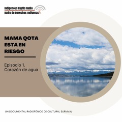 Mama Qota está en riesgo: corazón de agua