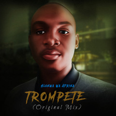 Hlokwa Wa Afrika - Trompete