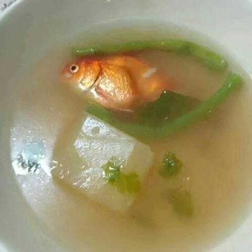 Test Loop CZ 136  เอ๋อเล่อ
