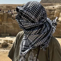 сектор газа