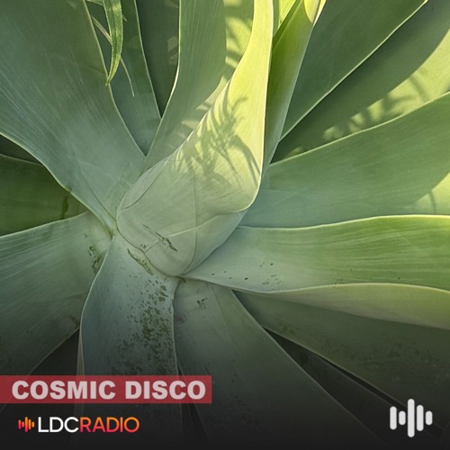Cosmic Disco — 30 Jul 2026