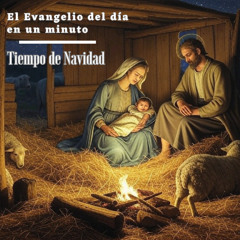 29 de diciembre de 2024