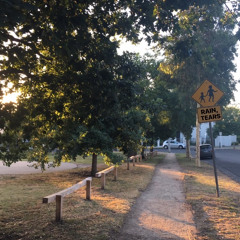 to the sleeping you (demo)