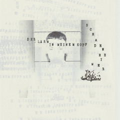 RM7001 A1 - Schadenheimer - Der Lärm in meinem Kopf (snippet)