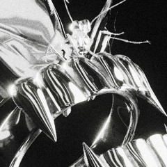 WE DIDDY (Ft. DJ YUNG VAMP)