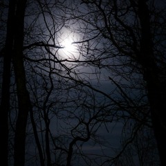 Midnight