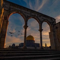 متى سأراك حرًا | أحمد النفيس | المسجد الأقصى 🕊️🕌