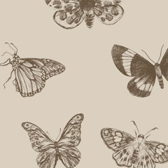 202 (geme pra eu ouvir) RMX - Luã Kayodê