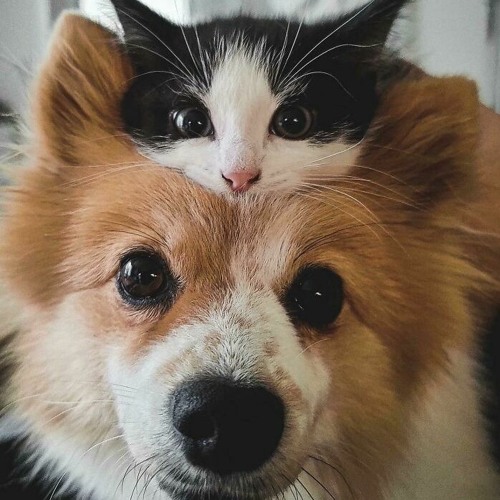 clay10 & reklus1ve - nerd (prod. clay10)