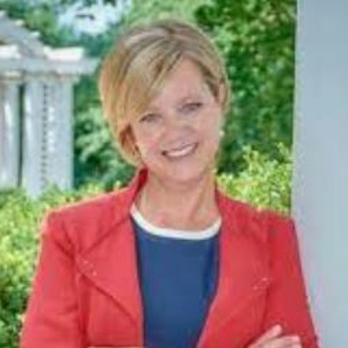 Jeanne Ives hosts town hall