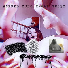 RIPPED CULO FULL EP - Ripped Carcass/Culogrind 2-Way Split 2025