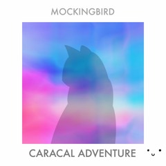 Mockingbird - Caracal Adventure