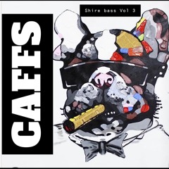 Shire Bass Promo Mix,Vol 3.