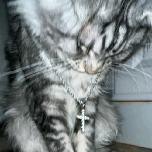 loves weird FT sara DEMO DRAFT