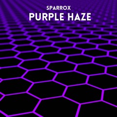 SparroX - System Crash