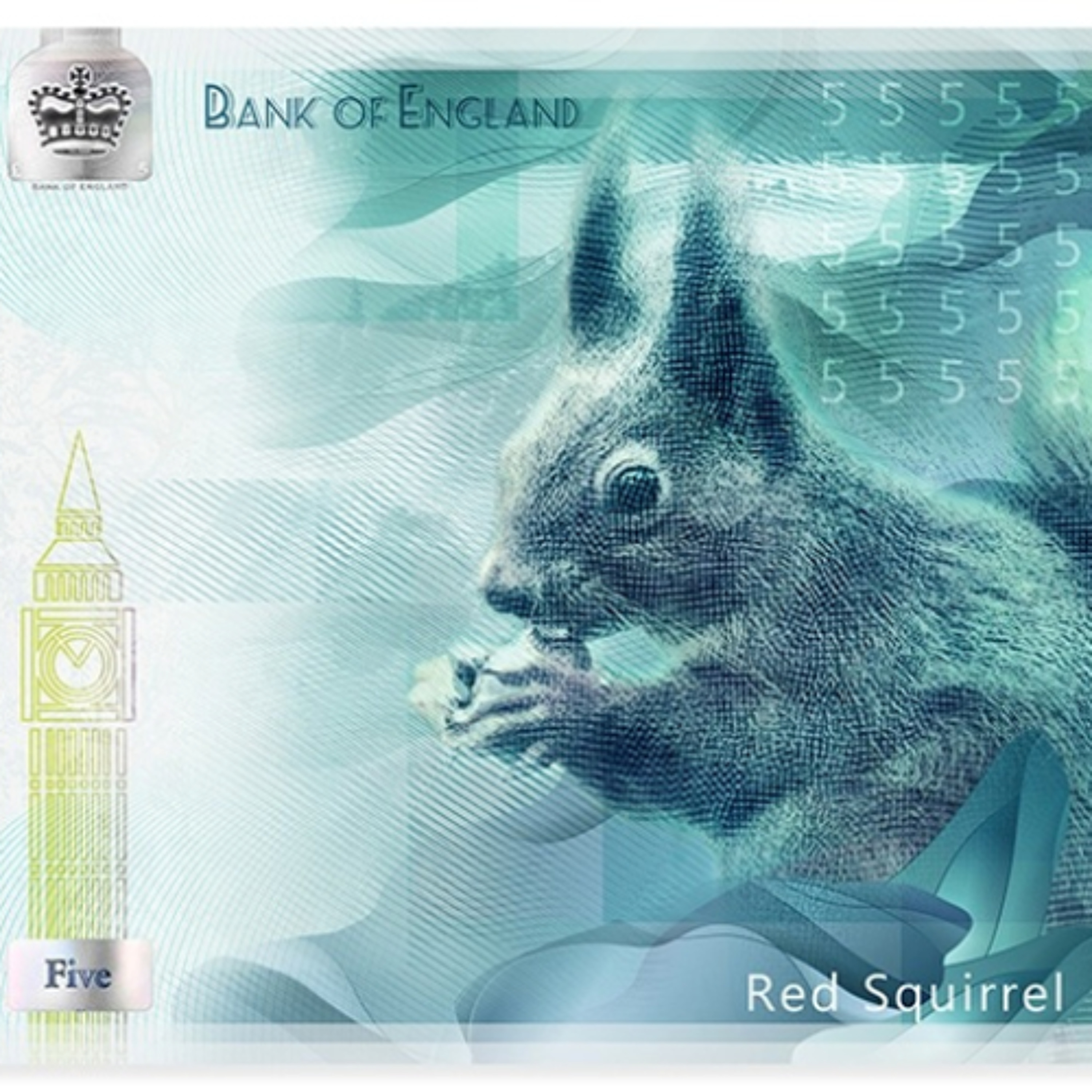 Bank of England opens wildlife vote for future banknotes💷💷 episode artwork