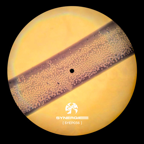 Premiere: Concentrate (Tommaso Arcuri Remix) [Synergie]