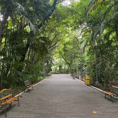 handaparasayo (draft)