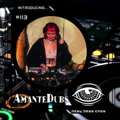 Introducing... Guest Mix #113 Amante Dubs