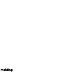 molding